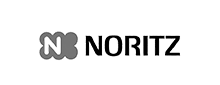 brand logo nortiz